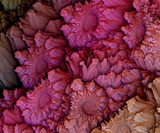 780947 (a): :3072x2553